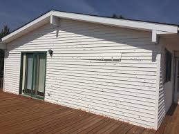 Best Custom Trim and Detailing for Siding  in Lake Waynoka, OH